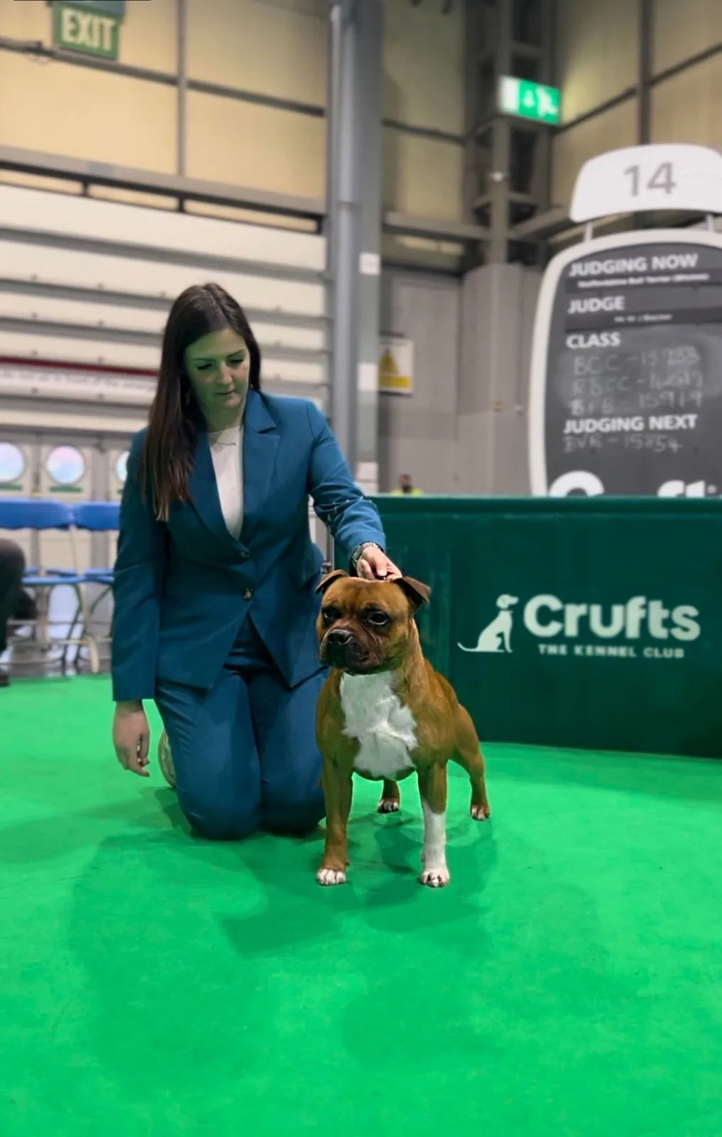 HEAT al Crufts di Birmingham, la maggiore esposizione canina al mondo