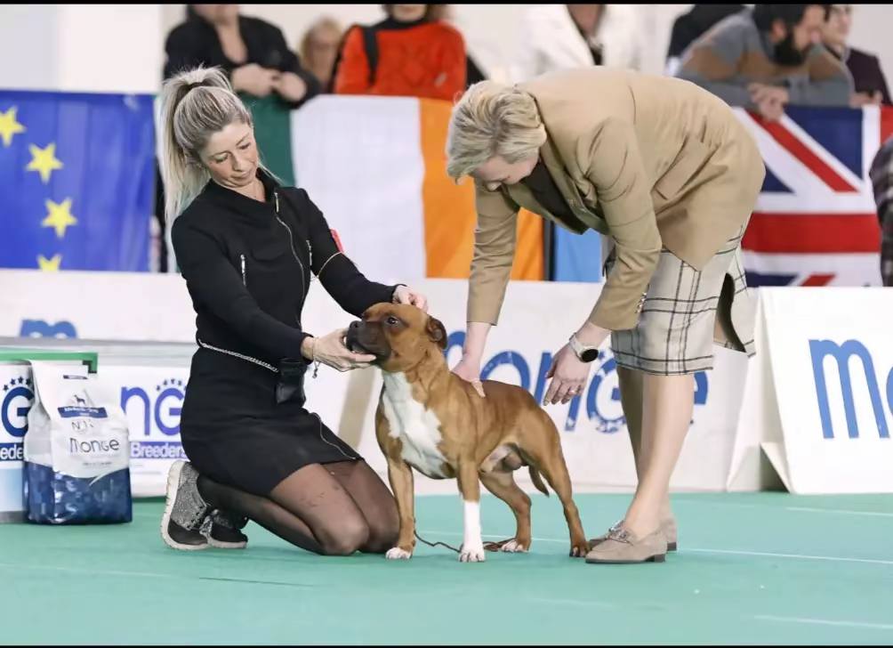 HEAT in esposizione internazionale